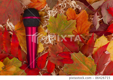 Musical microphone in leaves. Autumn and music Musical microphone in leaves. Autumn and music 86426715