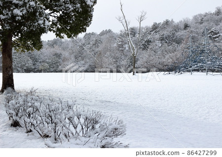 Scenery of the park on a snowy day 86427299