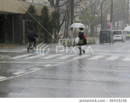 Rain crosswalk Rain crosswalk 86428286