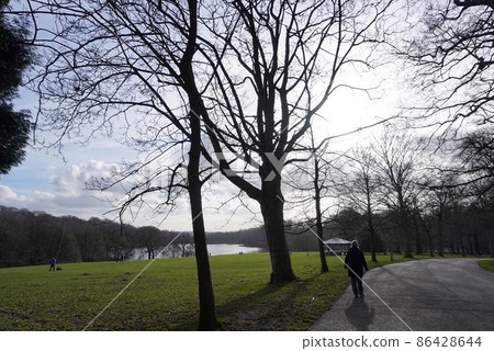 Roundhay Park @ Leeds Roundhay Park @ Leeds 86428644
