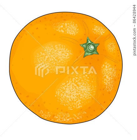 Illustration of tangerine tilted diagonally 86428944