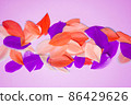 Purple coral pink feathers on pink background. Background for design with colorful pattern. Copy space for text. Top view, flat lay. 86429626