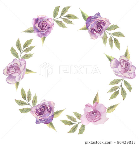 Floral wreath with purple roses and anemones on a white isolated background. Hand-drawn watercolor illustration 86429815