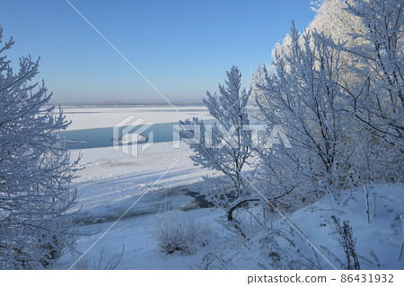 Frosty winter trees on the riverbank Frosty winter trees on the riverbank 86431932