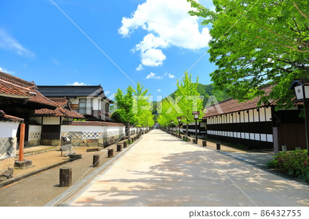 [島根縣]新鮮的綠色津和野町街 86432755