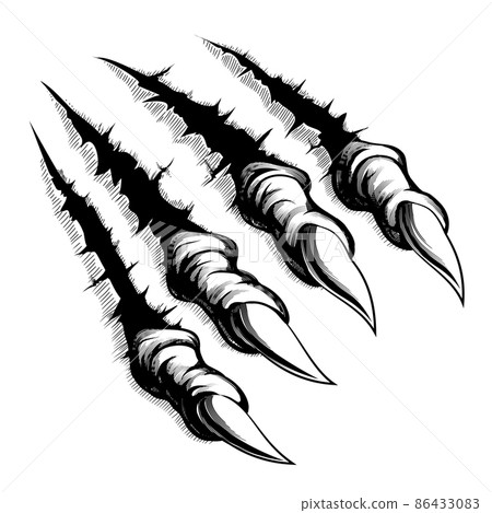 Monster claws break through white background Monster claws break through white background 86433083