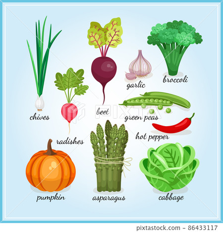 Healthy fresh vegetables icons Healthy fresh vegetables icons 86433117