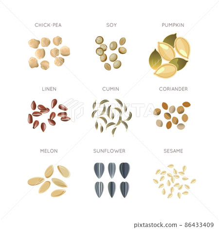 Cereal grains flat vector icons set 86433409