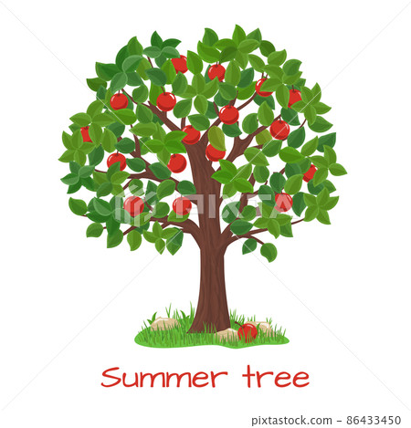 Green apple tree. Summer tree vector Green apple tree. Summer tree vector 86433450