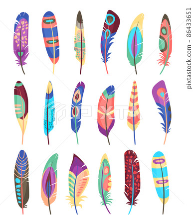 Vector colored feathers set 86433651