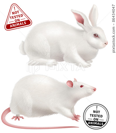 Not Tested On Animals Realistic Icons 86434047