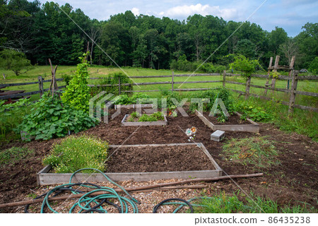 Rustic raised bed vegetable garden with rural nature background Rustic raised bed vegetable garden with rural nature background 86435238