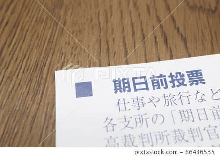 提前投票指南 提前投票指南 86436535