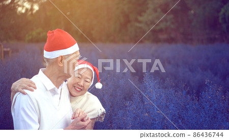Lovely happy Asian elder couple Christmas celebration with red santa claus hat in magic purple flower field morning 86436744