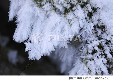 Rime like feathers Rime like feathers 86437572