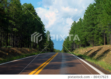 The wet street and the green trees 86437623