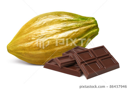 可可果可可豆莢插圖真實套裝 可可果可可豆莢插圖真實套裝 86437946