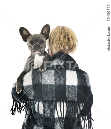 french bulldog and woman in studio 86439723
