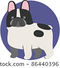 French bulldog 86440396