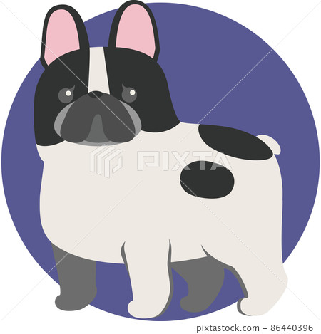 法國鬥牛犬 法國鬥牛犬 86440396