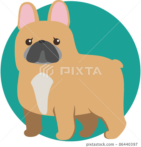 French bulldog 86440397