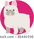 French bulldog 86440398
