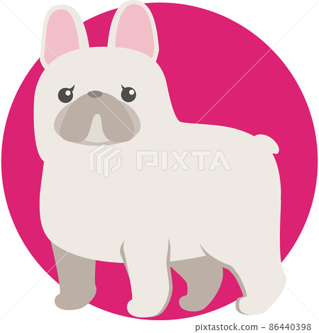 法國鬥牛犬 法國鬥牛犬 86440398