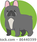 French bulldog 86440399