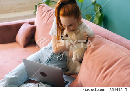 High-angle view of attractive young woman working typing on laptop sitting on comfortable sofa cuddling pretty miniature white spitz dog at apartment. Smiling redhead female student studying online. 86441345