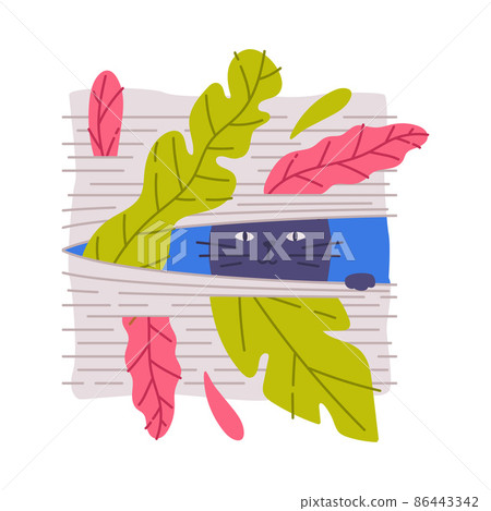 Cute Cat Animal Peeking Out of Window Curtain with Colorful Foliage Vector Illustration Cute Cat Animal Peeking Out of Window Curtain with Colorful Foliage Vector Illustration 86443342