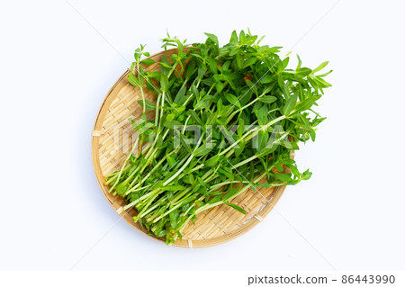 Fresh paddy rice herb on white background. 86443990