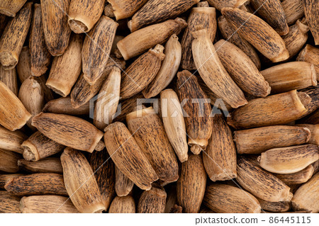 Heap of blessed milk thistle seeds - Silybum marianum - closeup microscopy detail from above, image width 23mm Heap of blessed milk thistle seeds - Silybum marianum - closeup microscopy detail from above, image width 23mm 86445115