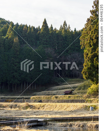 Scenery of terraced fields in the mountains Scenery of terraced fields in the mountains 86446195