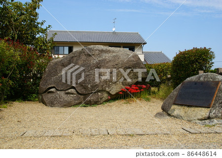 明日香村·龜梅 明日香村·龜梅 86448614