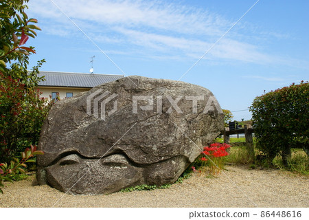明日香村·龜梅 明日香村·龜梅 86448616