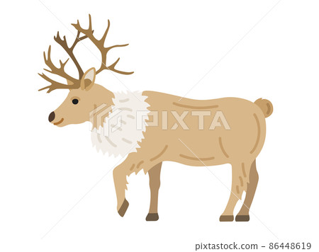 從側面看到的馴鹿插圖 86448619