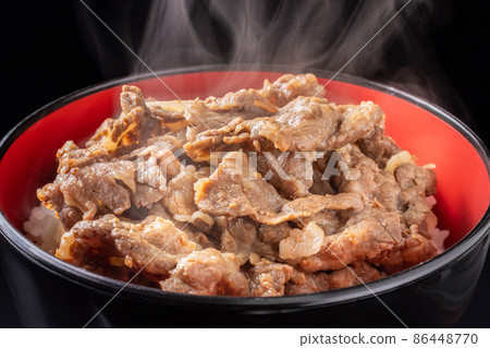 Image of beef bowl 86448770