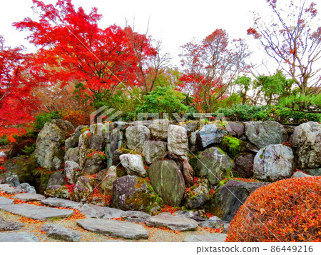 櫻山公園三橋和日本庭園 86449216