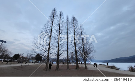 Winter head Winter head 86449419