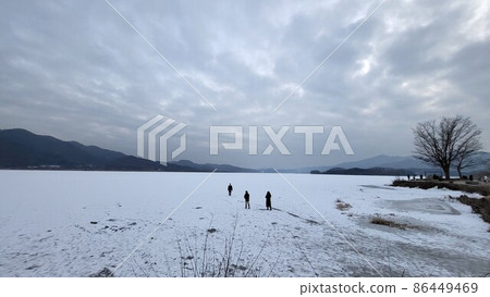 冬季兩棲動物 86449469