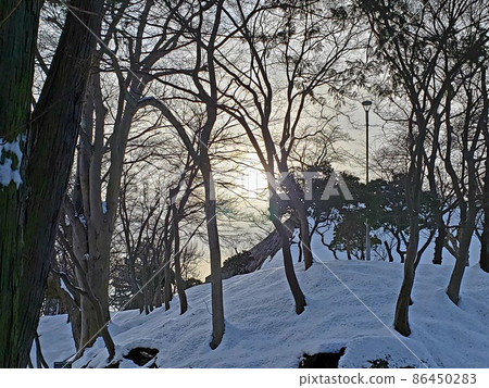 Winter dusk of Morioka Castle Ruins in Morioka City, Iwate Prefecture [January] 86450283