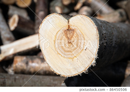 Sawn wood, firewood for winter. Garden works 86450506