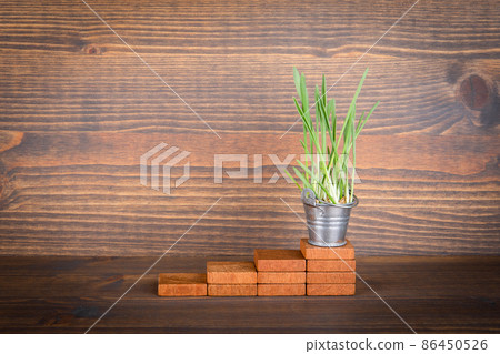 Spring grass in metal bucket on a wooden step 86450526