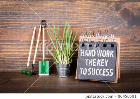 Hard Work The Key To Success. Education, career and opportunities concept 86450591