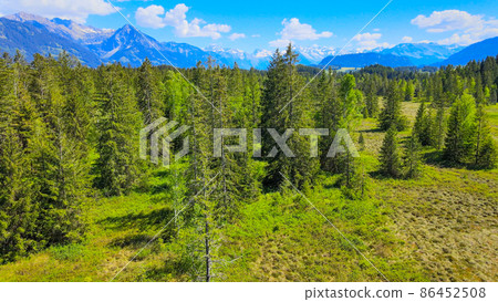 Amazing nature of Bavaria in the Allgau district of the German Alps Amazing nature of Bavaria in the Allgau district of the German Alps 86452508