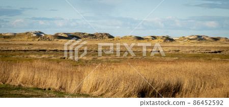Amazing landscape at the Wadden Sea in St Peter Ording Germany Amazing landscape at the Wadden Sea in St Peter Ording Germany 86452592