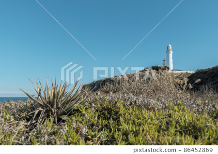 冬天的藍天和犬吠崎的風景 1月 86452869