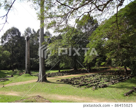 黑麥王台（吳哥窟吳哥考古中心〜暹粒/柬埔寨） 86455025