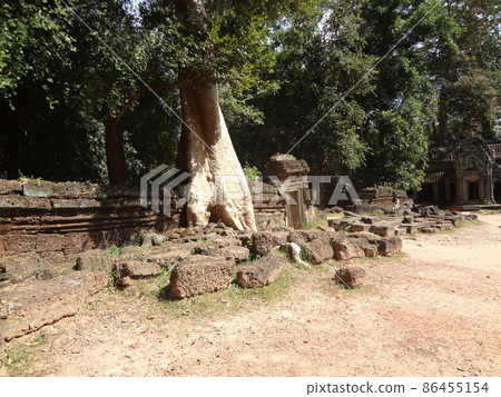 柬埔寨塔普倫寺吳哥考古遺址 柬埔寨塔普倫寺吳哥考古遺址 86455154