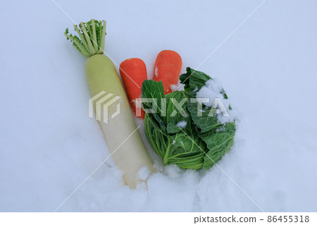 Vegetables under the snow preserved in the snow Image 86455318